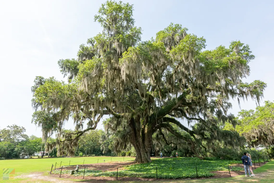 Airlie Gardens Wilmington NC