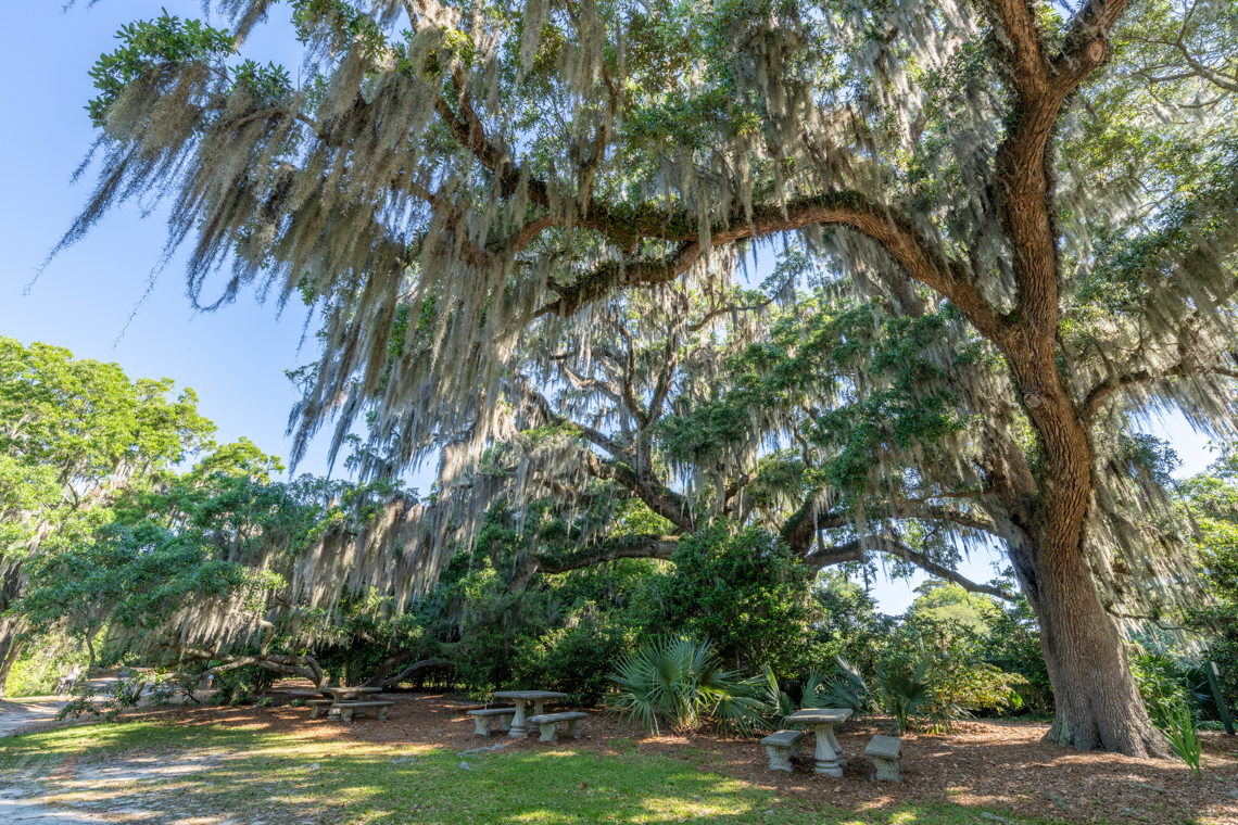 Airlie Gardens