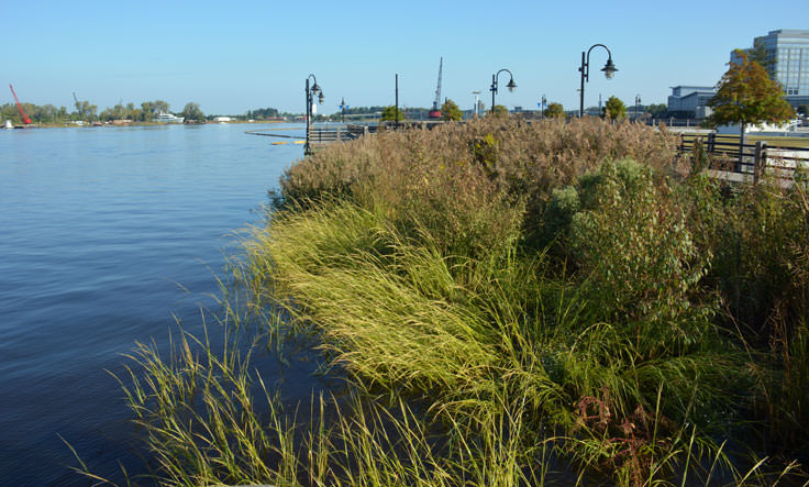 Der Riverwalk in Wilmington, NC