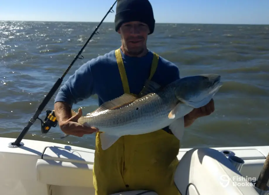 charter image 3