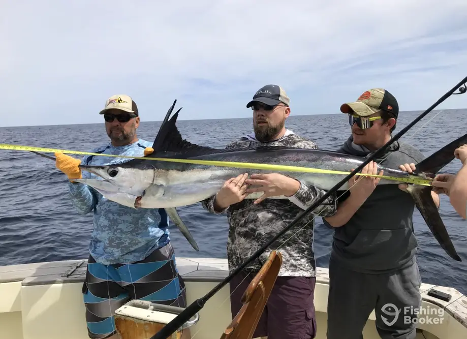Musicman Charters Sportfishing charter image 2