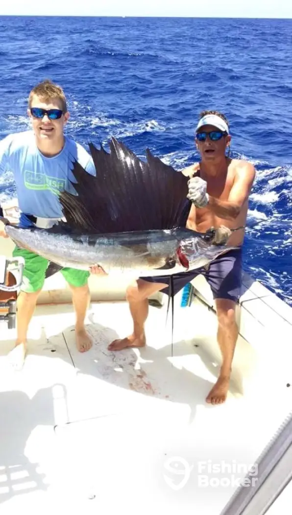 Musicman Charters Sportfishing charter image 3