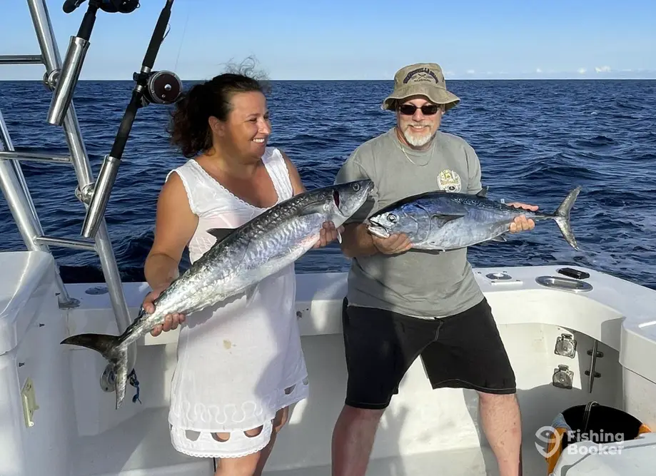 Bluefin Tuna Fishing Charter: Experience King of Seas in