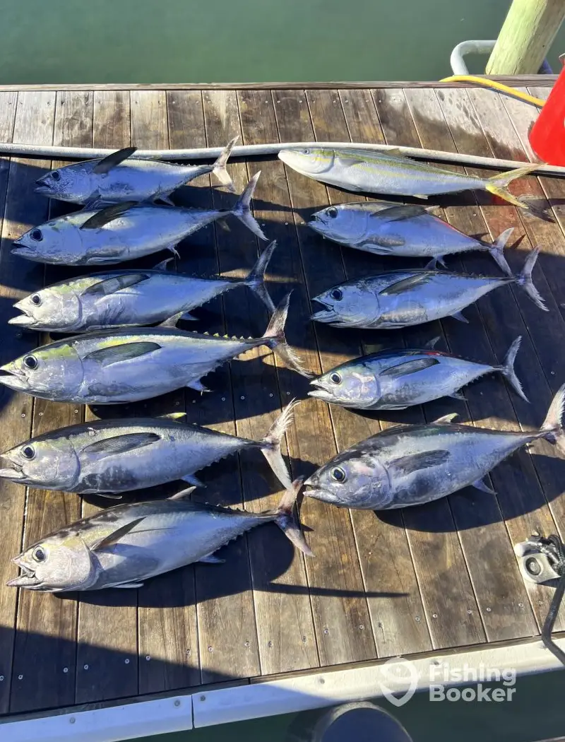 charter image 5