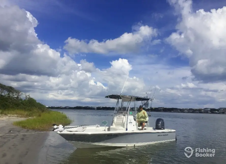 charter image 5