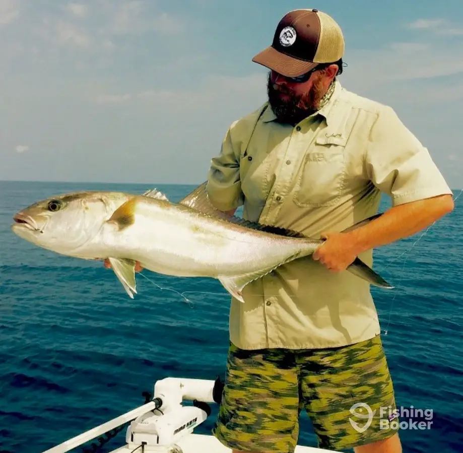 charter image 6